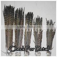 Indian Dance Feather Costume Top Quality Feather Costume