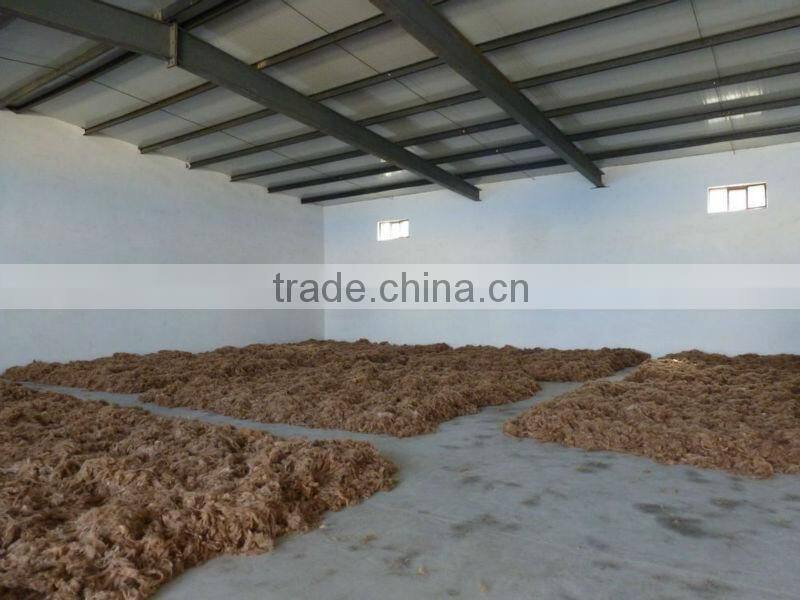 Dehaired camel hair from Alashan, Inner Mongolia
