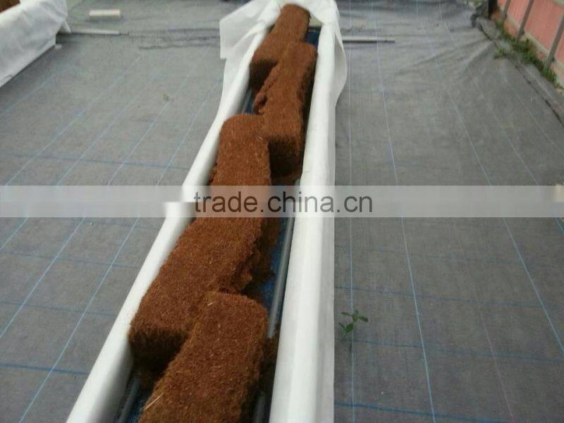 hydroponic NFT growing system greenhouse