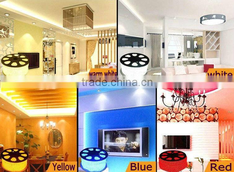 AC 110V/ 220V SMD 5050 Flexible led strip light 60LEDs Waterproof IP65 logo for led strip