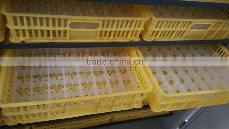 High quality and reasonable price egg incubator farm equipment hatchery incubator for sale 23232model egg hatching machine price
