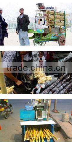Manual Pressed Fluid Machine Sugar Cane Squeezer /Citrus Juicer