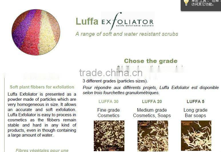 loofah/luffa/loofa powder