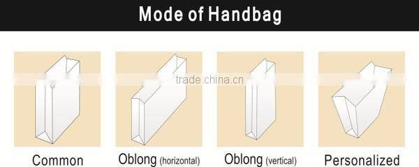 Direct Factory Machine Made Luxury custom paper bag