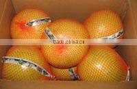 fresh honey pomelo
