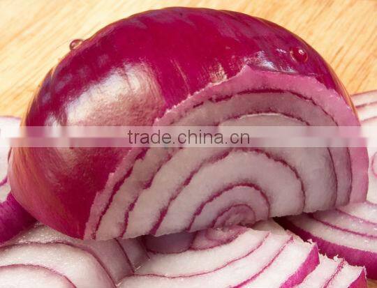 Liliaceous Vegetabless Product Type and Onion Type fresh ONION for sale
