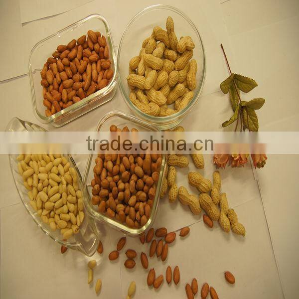 Chinese high quality Peanut in shell/without shelled