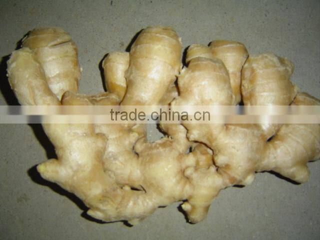 2014 new Fresh air dried ginger