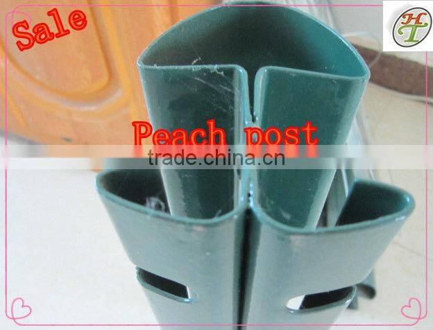 fence post 60*60*1.5mm 1.55m height with plastic caps and clips