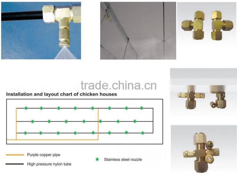 chicken poultry breeding houses