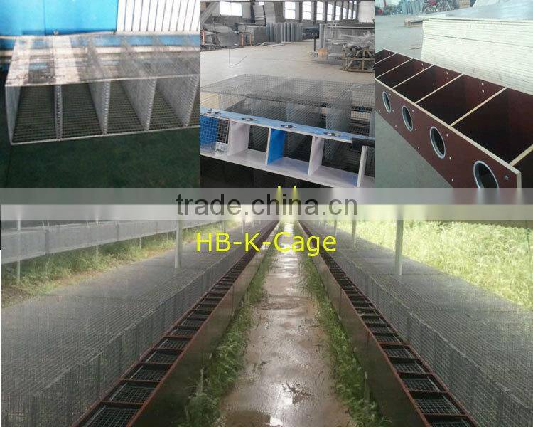 Mink cage