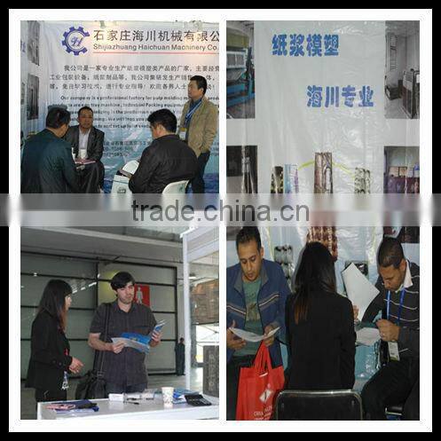 Paper color Apple carton Trays fatcory