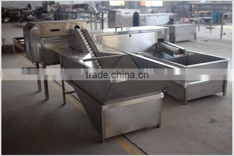 Factory supply egg washer machine for sale with low price