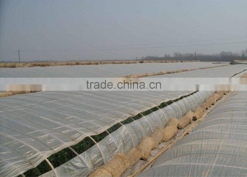 Multi span PE Cover Film PE greemhouse film for vegetable greenhouse