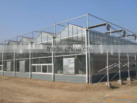 High quality aluminium polycarbonate commercial garden greenhouse