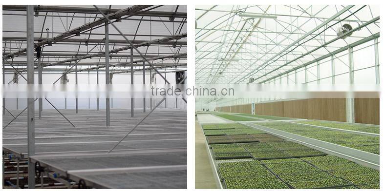 Cheap commercial plastic tunnel tomato greenhouses for sale