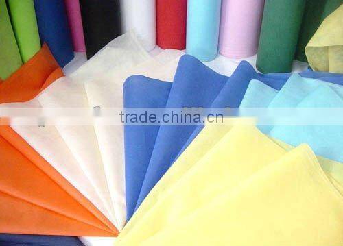 BSCI PASS, AZO free 100% PP Spun-Bonded Non-Woven Fabric