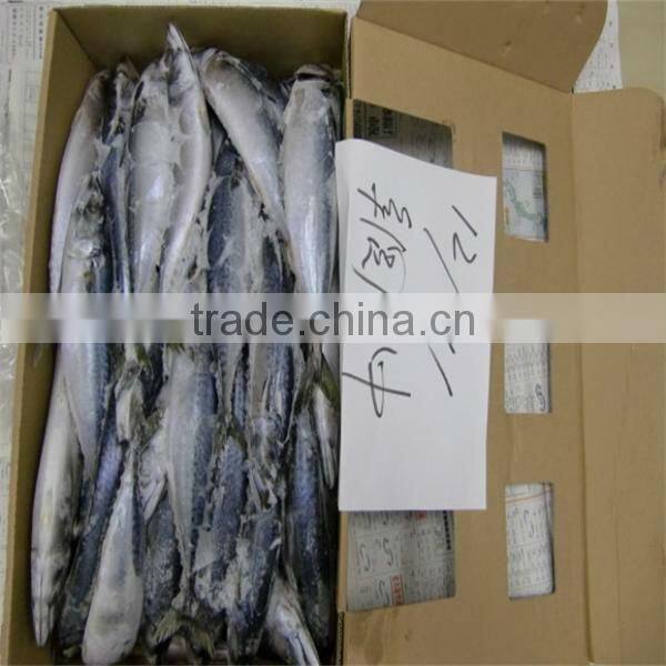 seafood frozen cook mackerel