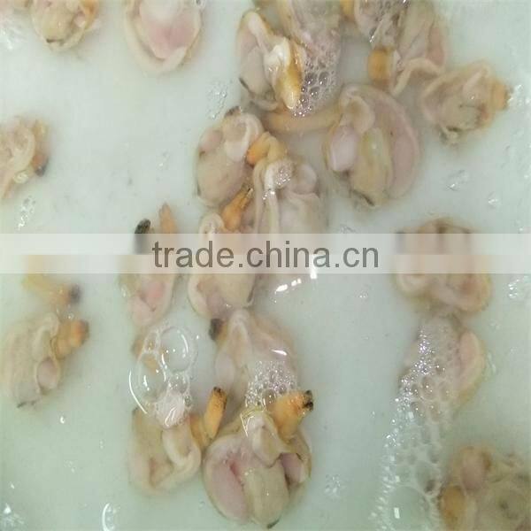 sea best frozen seafood conch