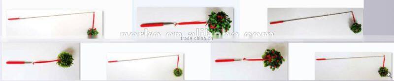 Holiday Kissing Mistletoe