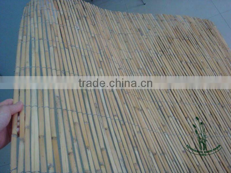 reed slat fence