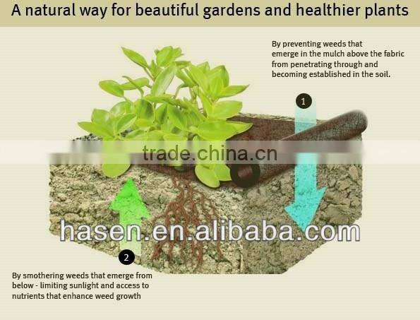 French using pp agreiculture cover film