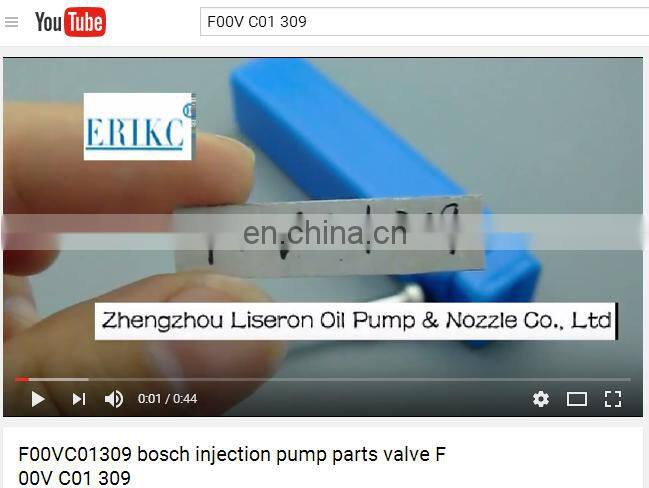 F00VC01309 common rail injector valve F 00V C01 309 bico injection valve group F00V C01 309