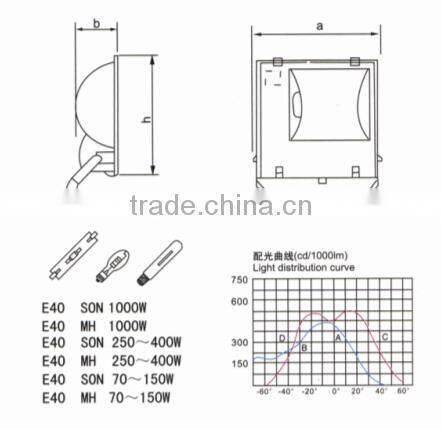 1000W Die-casting Aluminium MH/SON IP65 Flood Light