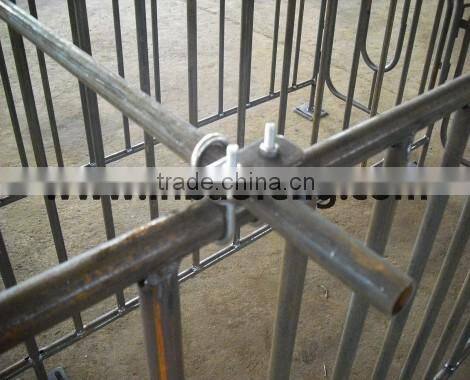 galvanized pipe pig gestation stall , sow gestation crate