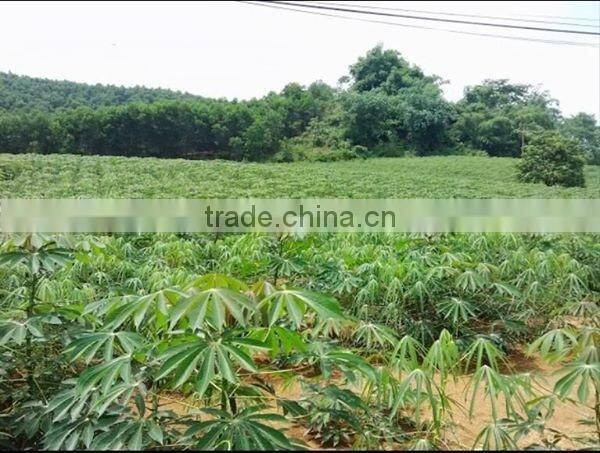 TAPIOCA STARCH WITH THE BEST PRICE VIETNAM