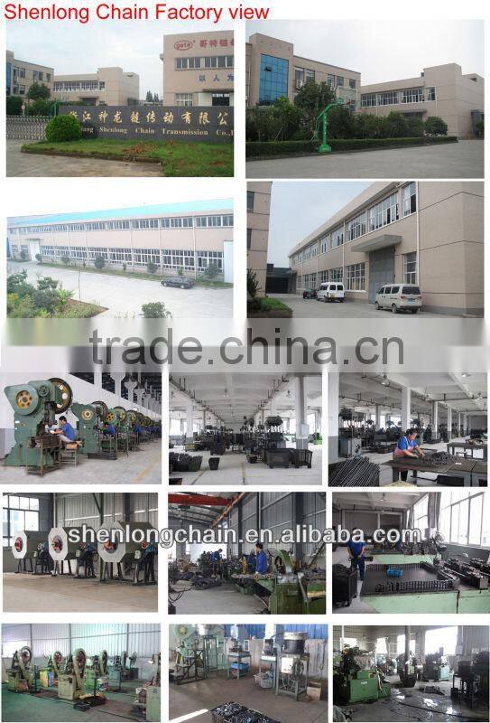 Hollow pin chain double pitch 216ALHP/2082HP