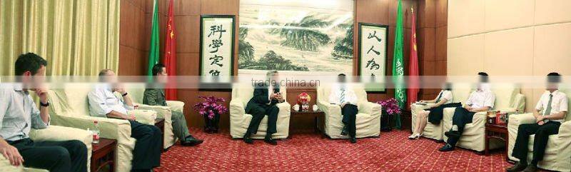 that dry yeast 500 gram instant dry Yeast