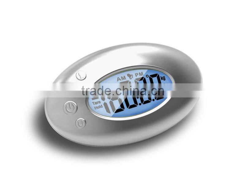 Promotional Steel Digital Luggage Scale with Data Lock