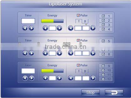 Best Dual wave Japan technology 12 paddles 176pcs lipo laser slimming machine for home use