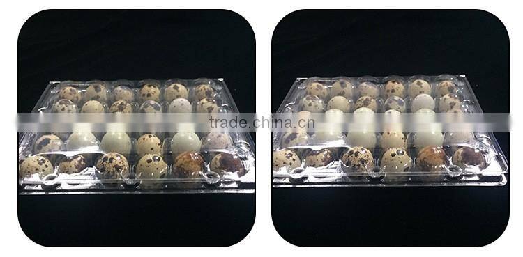 Plastic quail tray quail egg packaging quail egg cartons for sale