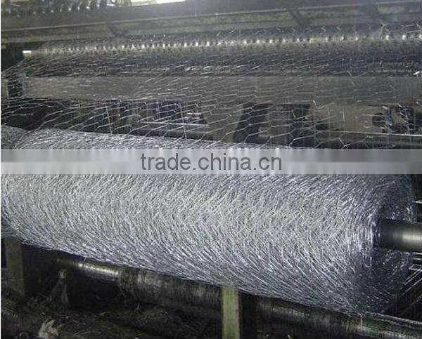 hexagonal wire mesh/ chicken wire mesh best selling