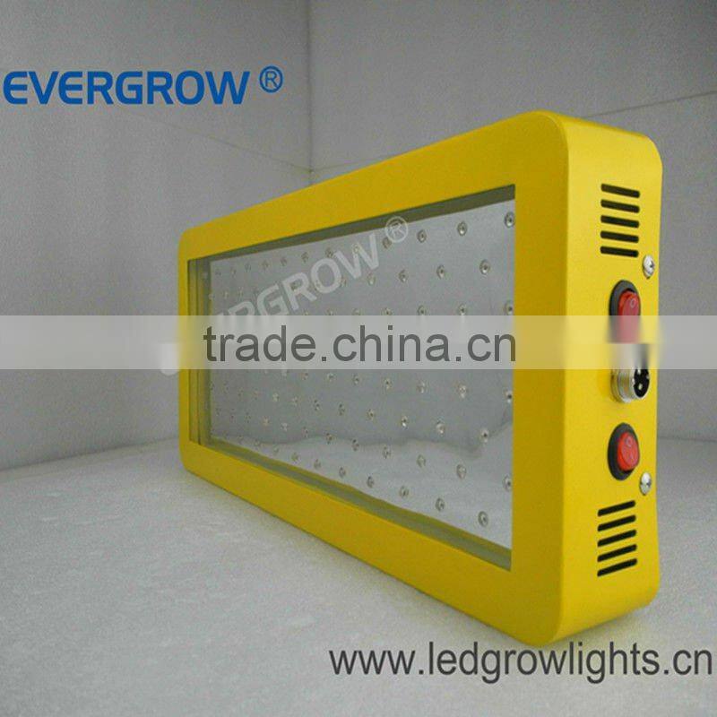EverGrow 200W test approved led grow light fixtures EG-100*3W-GP3-SXB