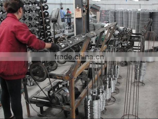 1" Galvanized Hexagonal Chicken Wire Mesh(factory)