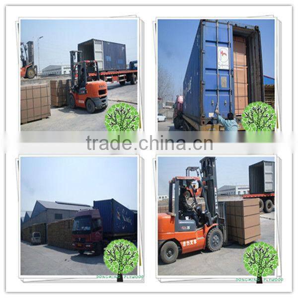 18mm Concrete Casting Plywood/Construction Plywood