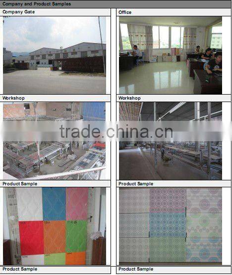 300x450mm 3d digital inkjet tiles