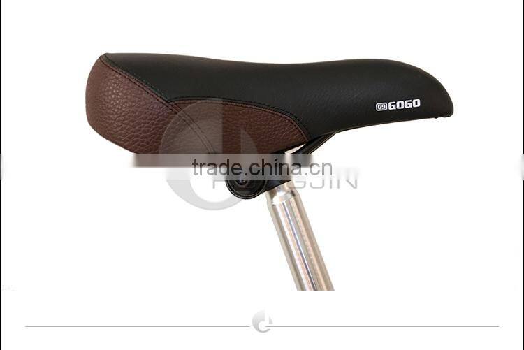 20'' High Carbon Steel City Leisure Bikes for Lady