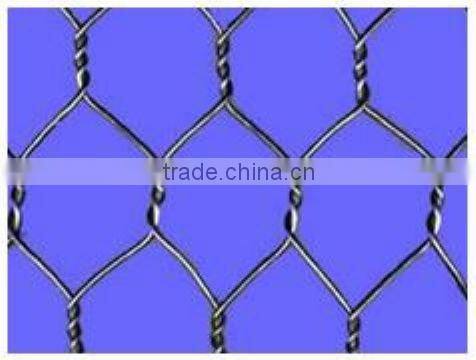 Anping Galvanized Chicken Mesh(Hot-dipped/Electro Galvanized)