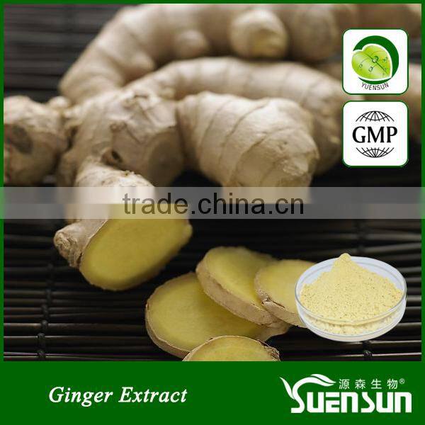 Pharmaceutical & healthcare grade dried ginger powder price