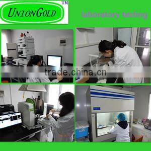 Frozen Halal Whole Chicken without head,neck,liver,feet