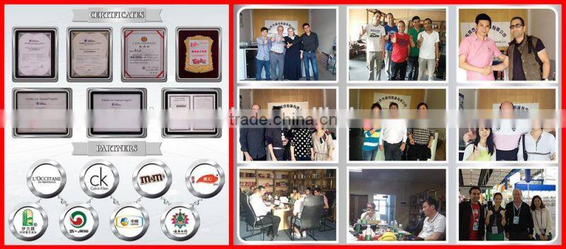 China Dragon Battery metal electrical tin boxes with window