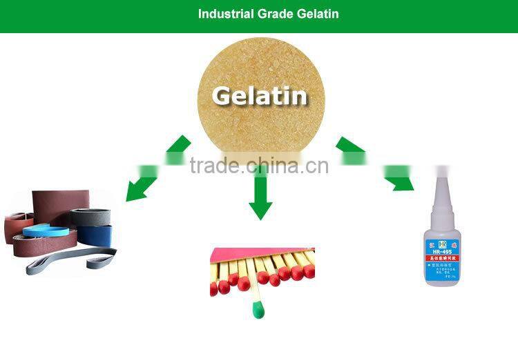 2016 New Industrial Gelatin For Fiber and Garment industry