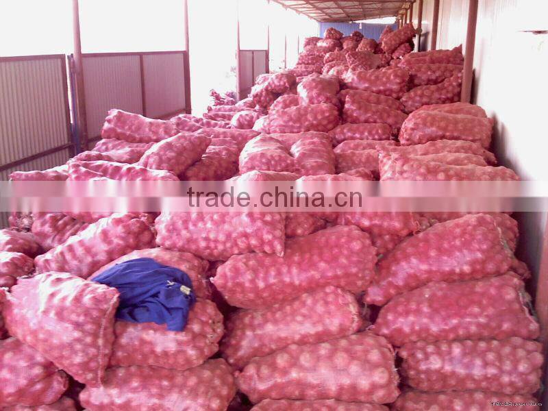 Red Onion ( Fresh ) Available throughout the Year