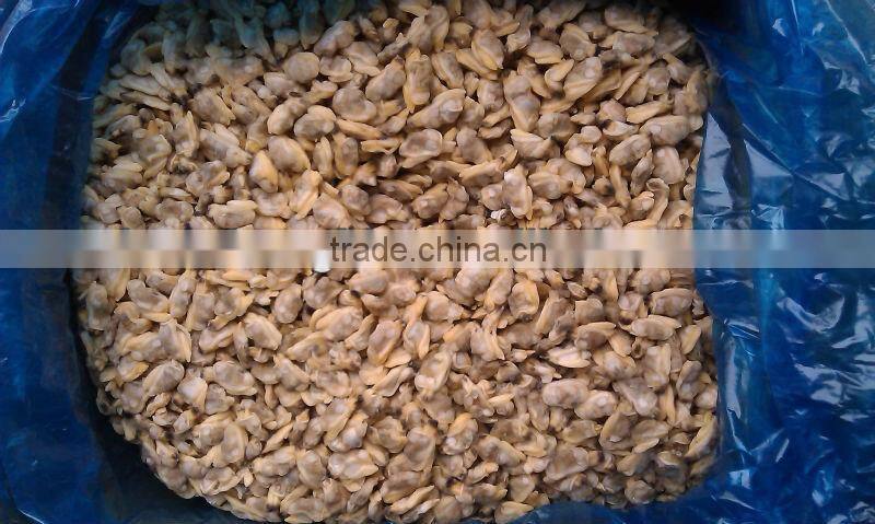 Frozen IQF Cooked Clam Meat