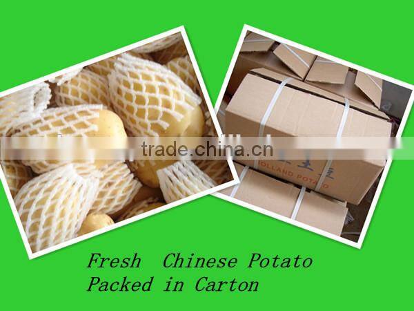 2015 crop china fresh potato