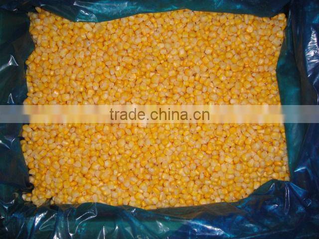 Chinese frozen sweet corn with HACCP
